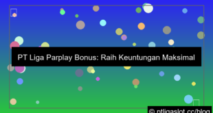 visual pt liga parplay bonus