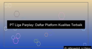 ilustrasi pt liga parplay daftar kualitas terbaik