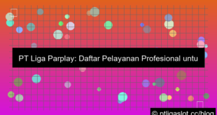 desain pt liga parplay daftar pelayanan profesional