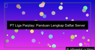 ilustrasi pt liga parplay daftar server luar negeri