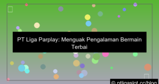 pt liga parplay pengalaman bermain