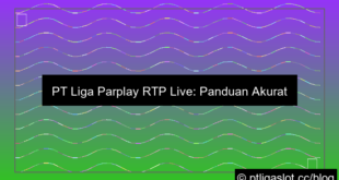 pt liga parplay rtp live