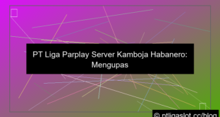 ilustrasi pt liga parplay server kamboja habanero