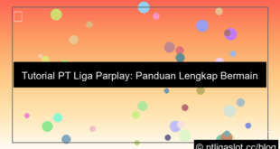 visual pt liga parplay tutorial
