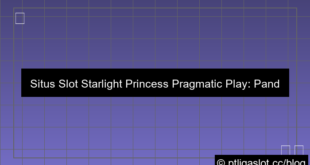 situs pt liga parplay starlight princess