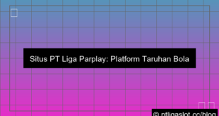 ilustrasi situs pt liga parplay taruhan bola