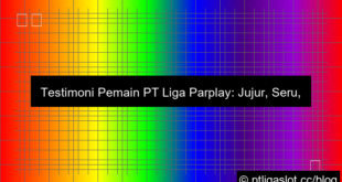 testimoni pemain pt liga parplay